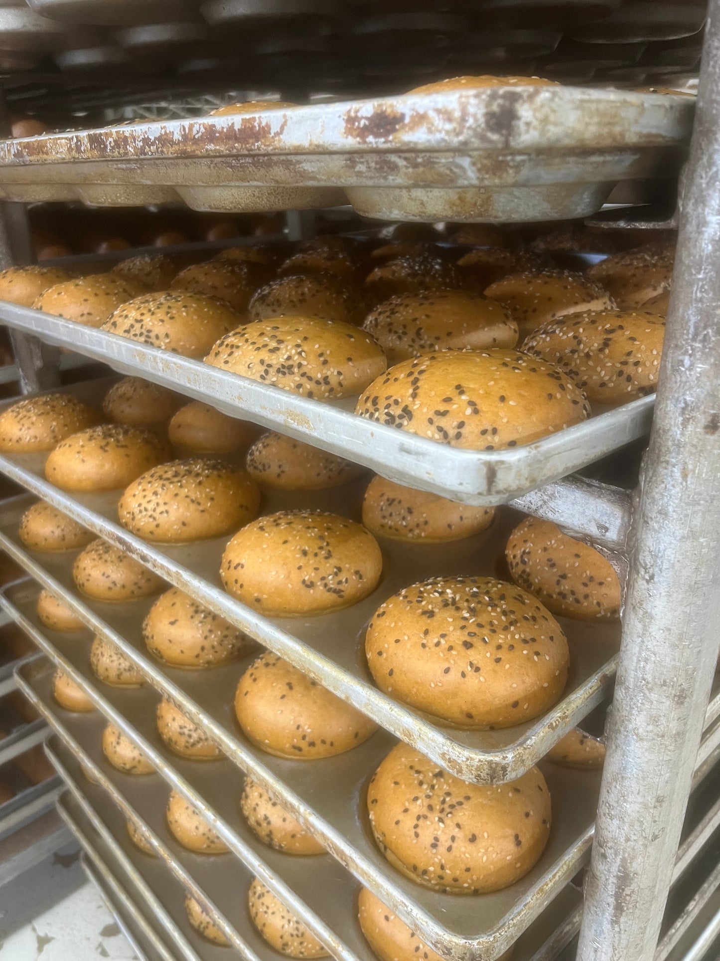 Bougie Buns - Sesame Seeded UnbelievaBuns - High Protein, Low-Carb Bread Buns (4 Total Buns)