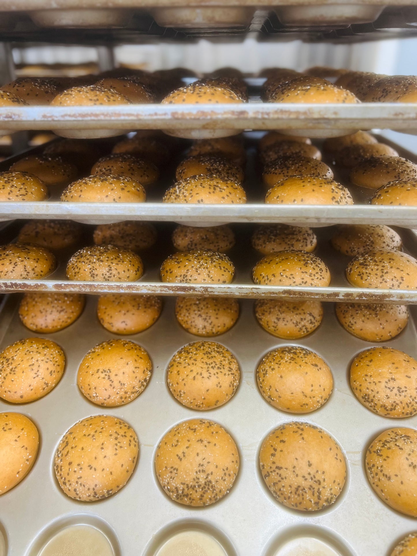 Bougie Buns - Sesame Seeded UnbelievaBuns - High Protein, Low-Carb Bread Buns (4 Total Buns)